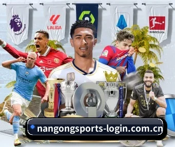 南宫体育官网入口 APP（NGSPORTS）